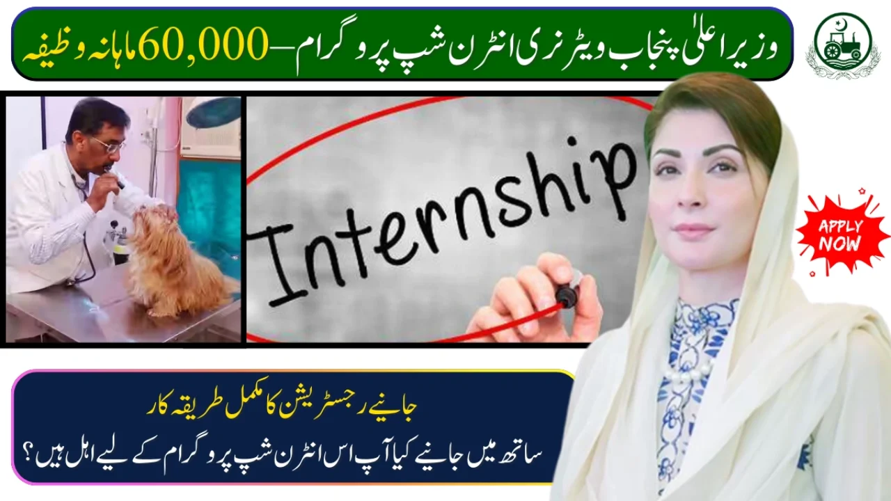 CM Punjab Announced Veterinary Internship Program 2025 – Earn 60,000 Monthly